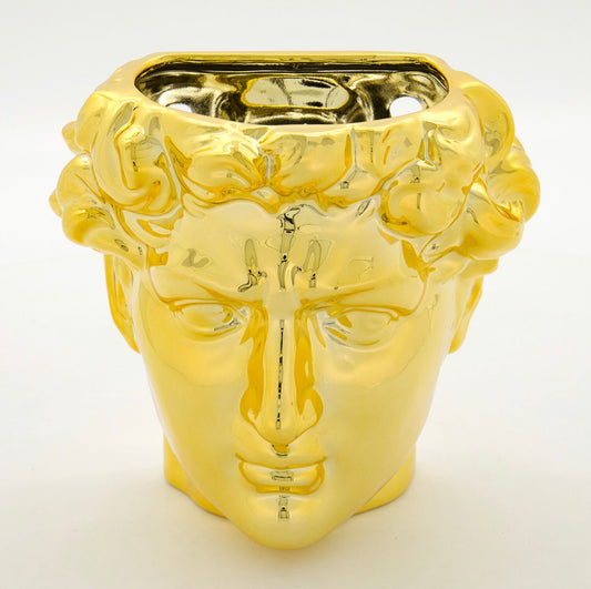 Greek Head Wall Flower vase