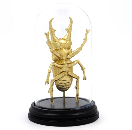 Gold Decorative Beetle in Dome