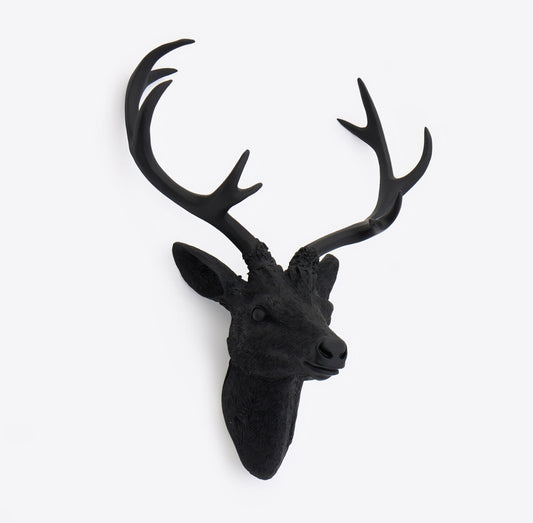 Black Antler Wall Mount